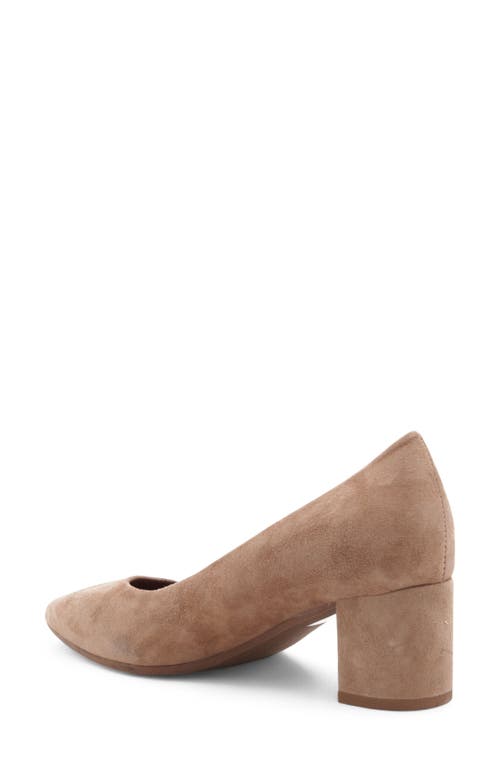 Aquatalia Kari Pointed Toe Pump