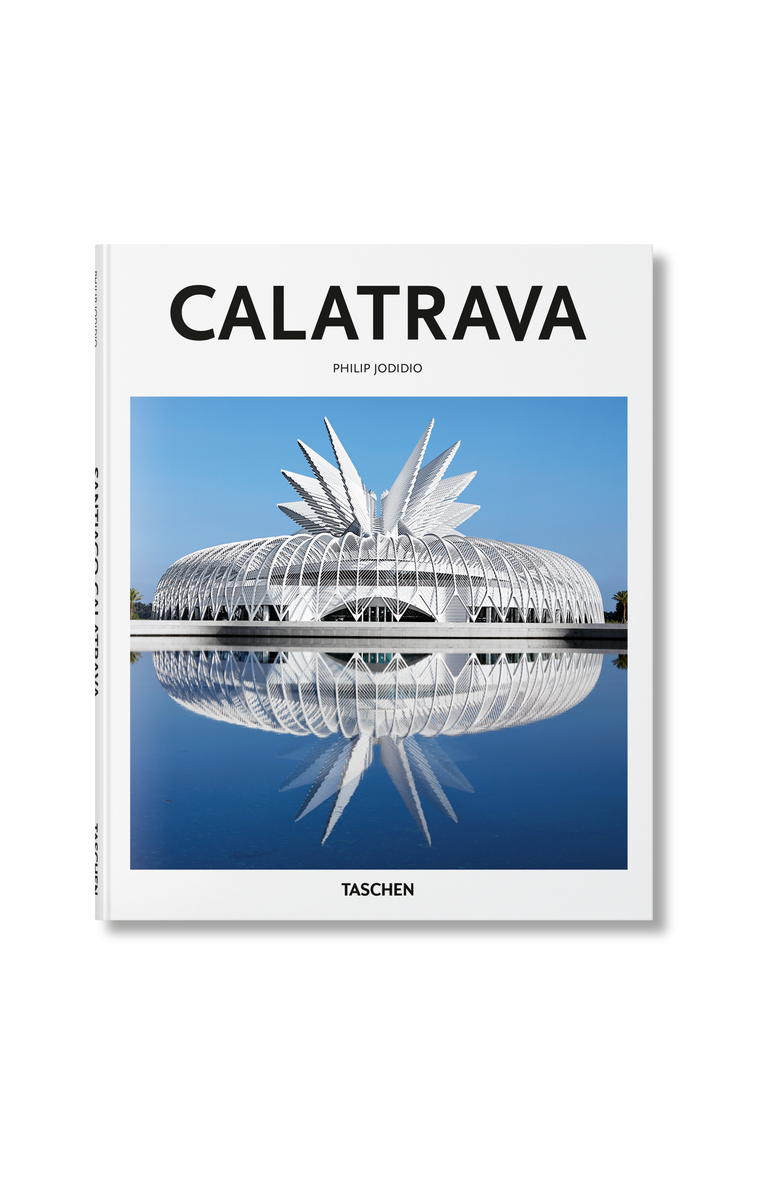 Taschen Calatrava, Main, color, Multicolor