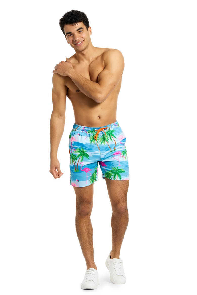 Flaminguy Stretch Swim Trunks, Alternate, color, MISCELLANEOUS
