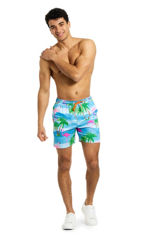 Opposuits Flaminguy Stretch Swim Trunks In Multi