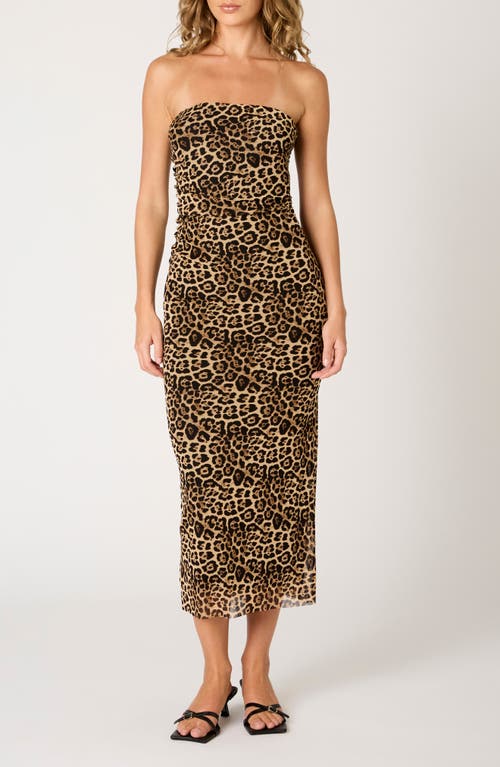 Nia Rowa Strapless Slim Midi Dress In Brown