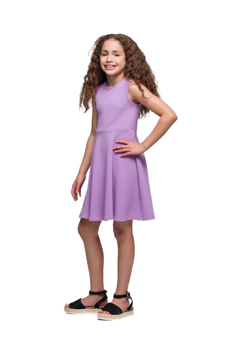 Sleeveless Knee Length Fit and Flare Dress, Alternate, color, Lilac