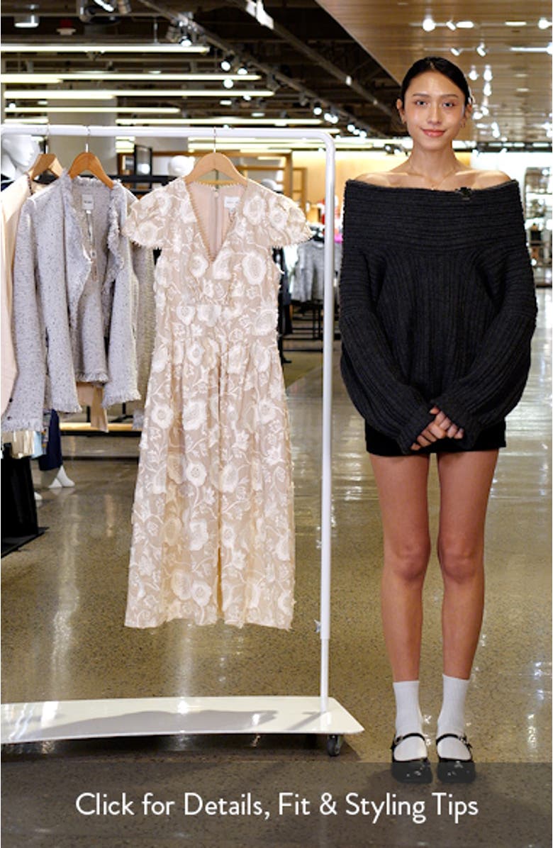 Nori 3D Embroidered Cotton Midi A-Line Dress, sales video thumbnail