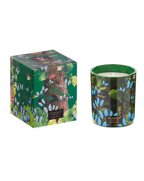 Vila Hermanos Vila Jungletropia Candle In Jar In Green