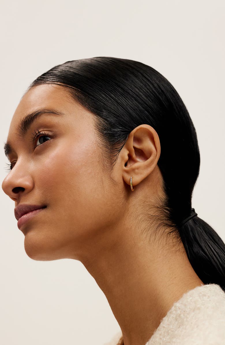 Ted Baker Heplie Pavé Hoop Earrings, Alternate, color, Gold Tone/ Rainbow Crystal