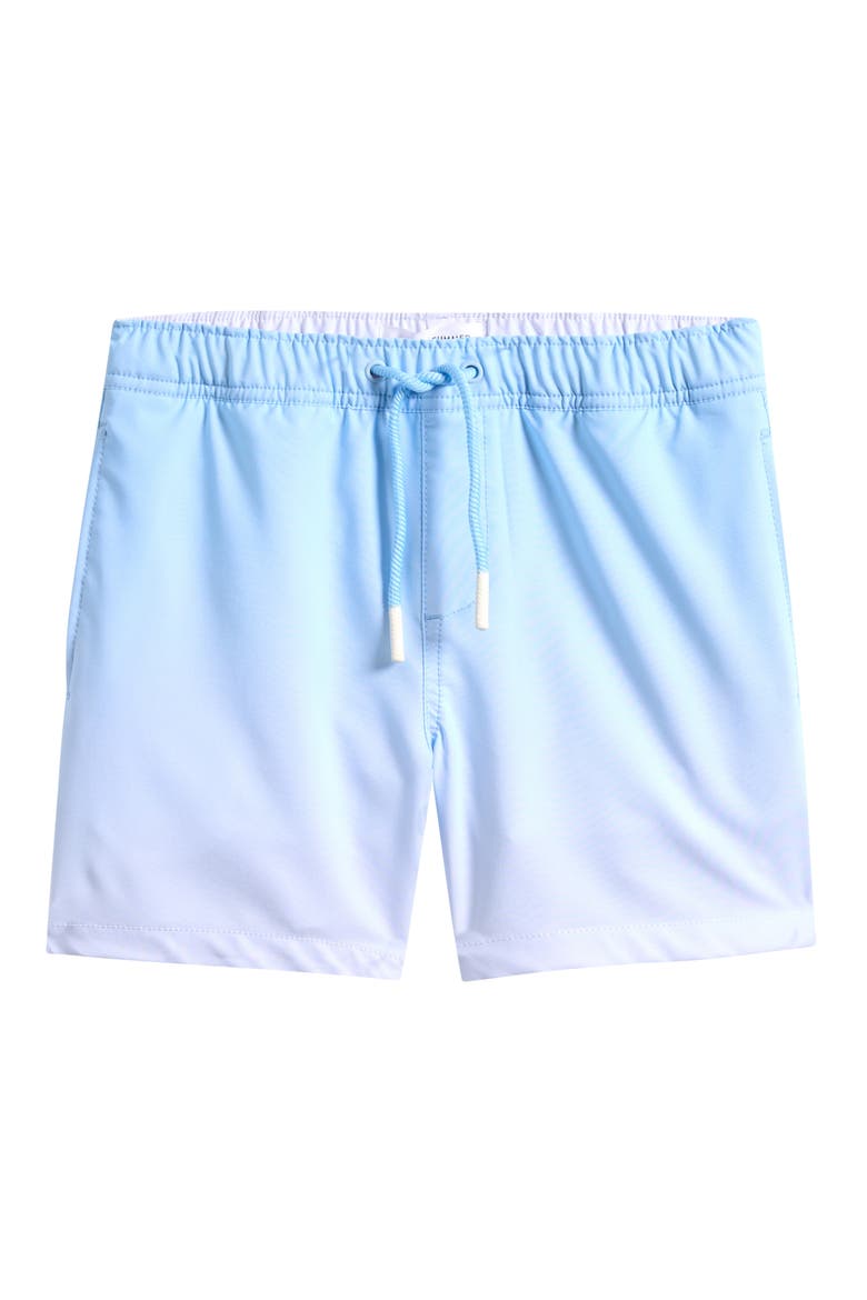 Kids' Lined Performance Swim Trunks, Main, color, BLUE