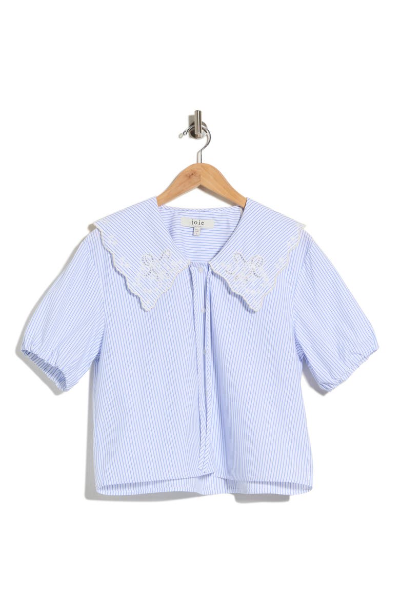 Embroidered Striped Shirt, Alternate, color, WHITE WITH BLUE STRIPES