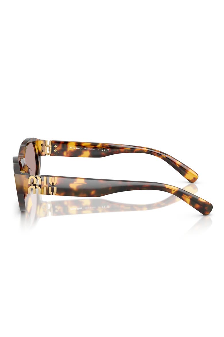 53mm Oval Sunglasses, Alternate, color, HONEY HAVANA / PURPLE BROWN
