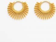 Ivy & Pearl Co. The Solaria Radiant Hoops