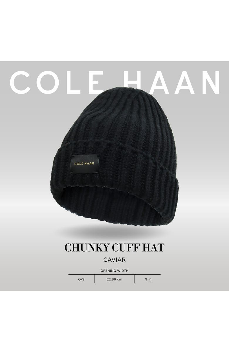 Cole Haan Chunky Cuff Beanie, Alternate, color, Caviar