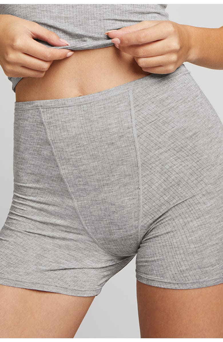 Negative Underwear Whipped Boxer, Main, color, Heather Grey