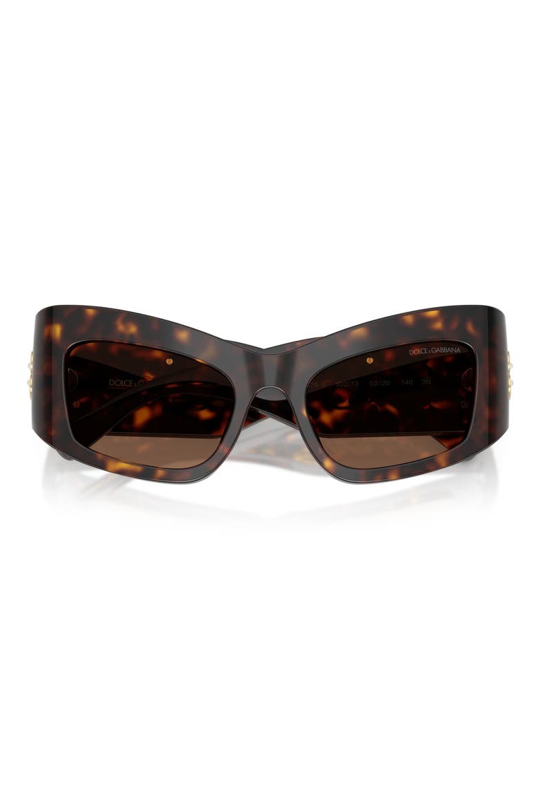 53mm Cat Eye Sunglasses, Alternate, color, HAVANA / DARK BROWN