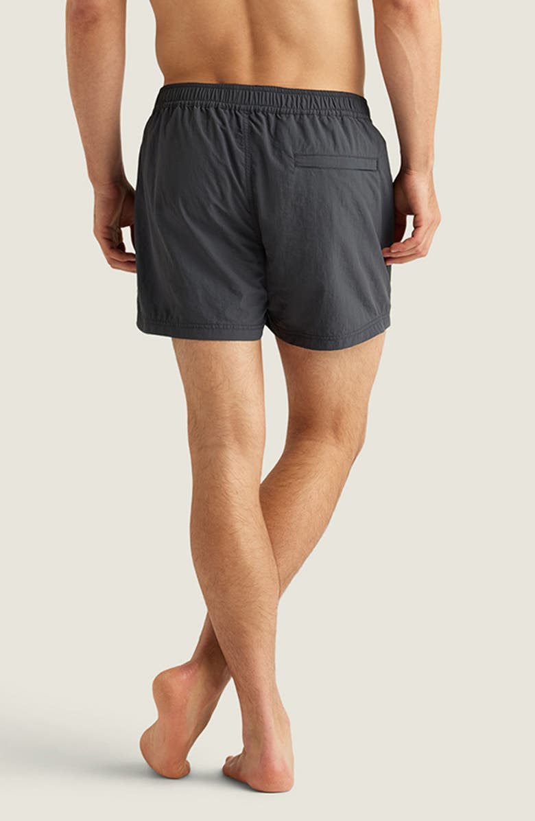 AUTO-REPLY<sup>™</sup> Sebastian Solid 4-Inch Nylon Swim Trunks, Alternate, color, Granite, Dark Grey