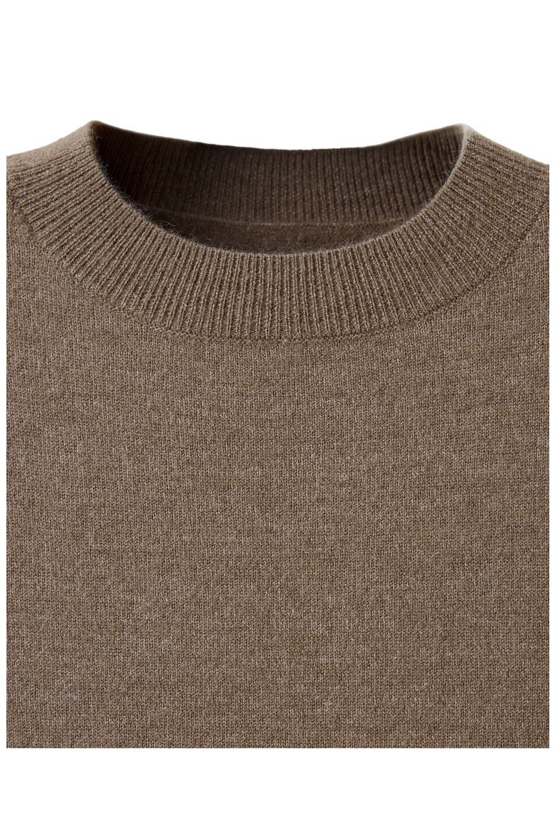 Nekanu Crewneck Fine Knit Minidress, Alternate, color, MEDIUM BROWN
