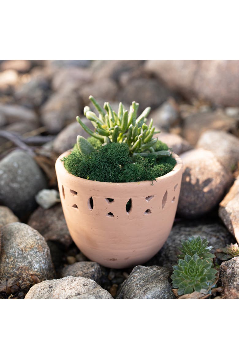 Southwest Cutout Planter Terracotta, Alternate, color, Orange
