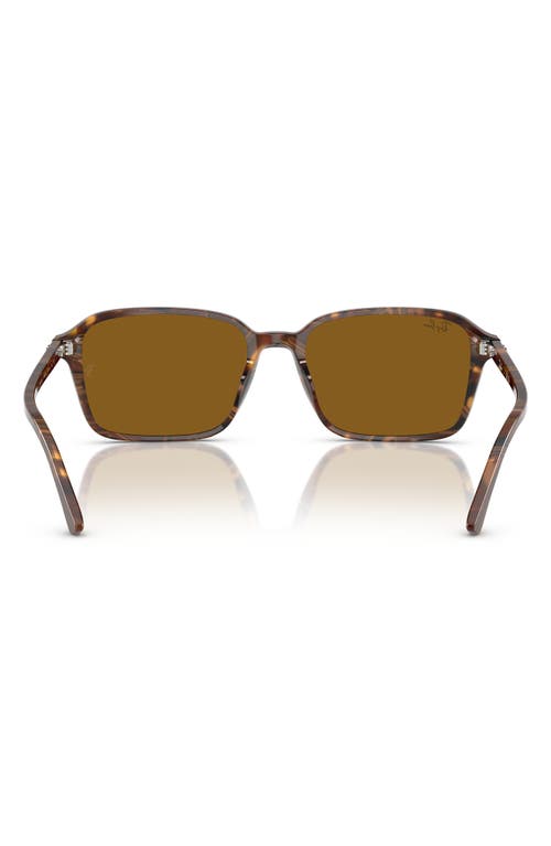 Ray Ban Ray-ban 56mm Square Sunglasses In Brown