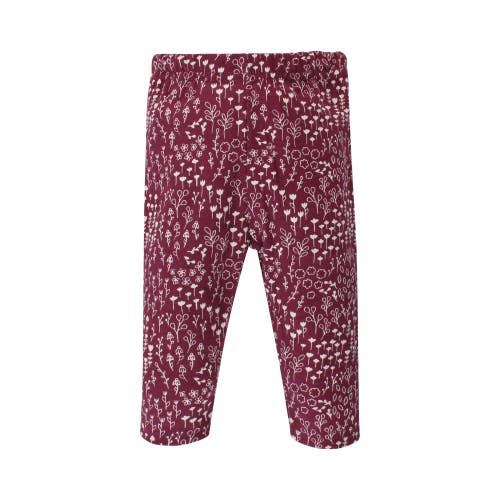 Hudson Baby 2 Bodysuits And Pant In Multi