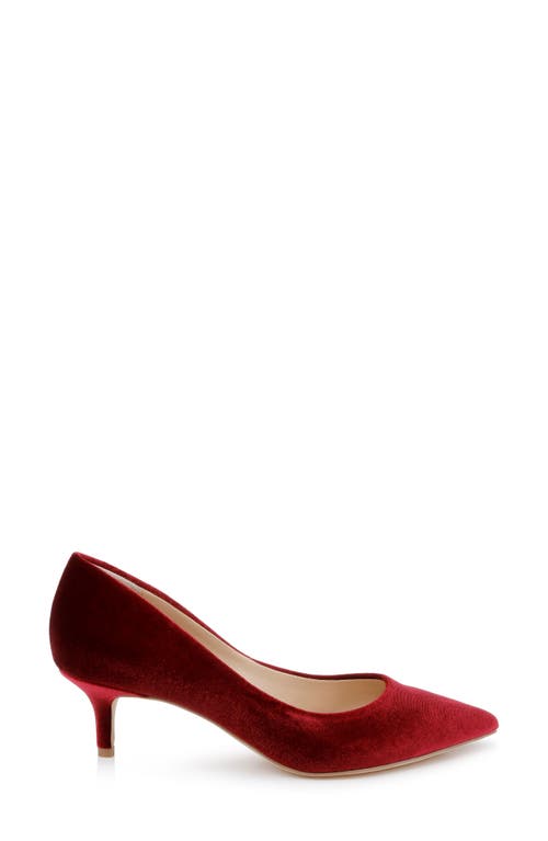 Jewel Badgley Mischka Enola Pointed Toe Kitten Heel Pump