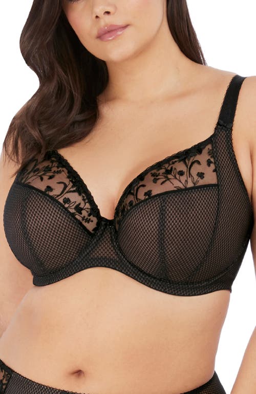 Elomi Charley Full Figure Underwire Plunge Bra in Jet at Nordstrom, Size 40H