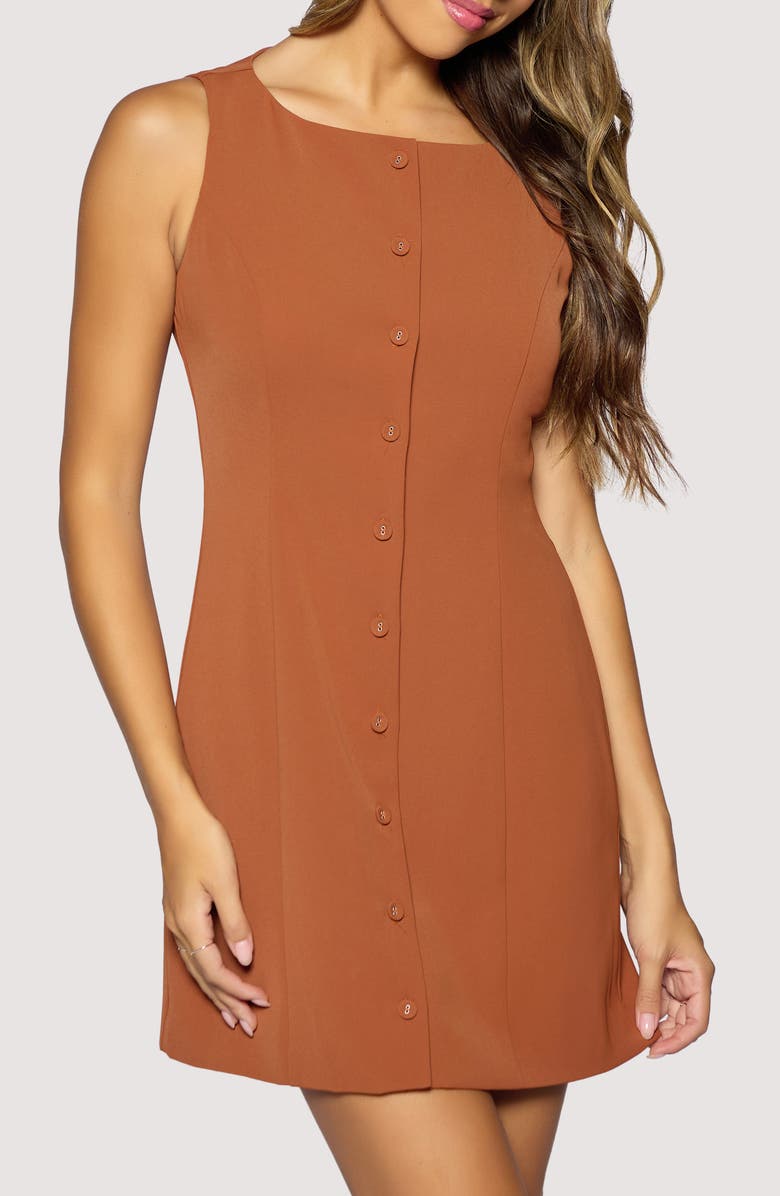 Lost + Wander Stroll in Madrid Minidress, Alternate, color, Brown
