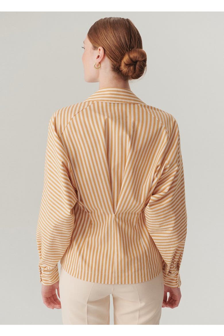 Emersyn Cotton Shirt, Alternate, color, CAMEL BEIGE