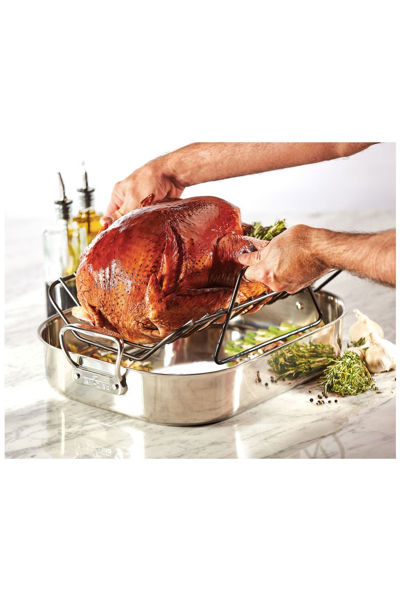 Large Stainless Steel Roasting Pan & Roaster Rack, Alternate, color, STAINLESS
