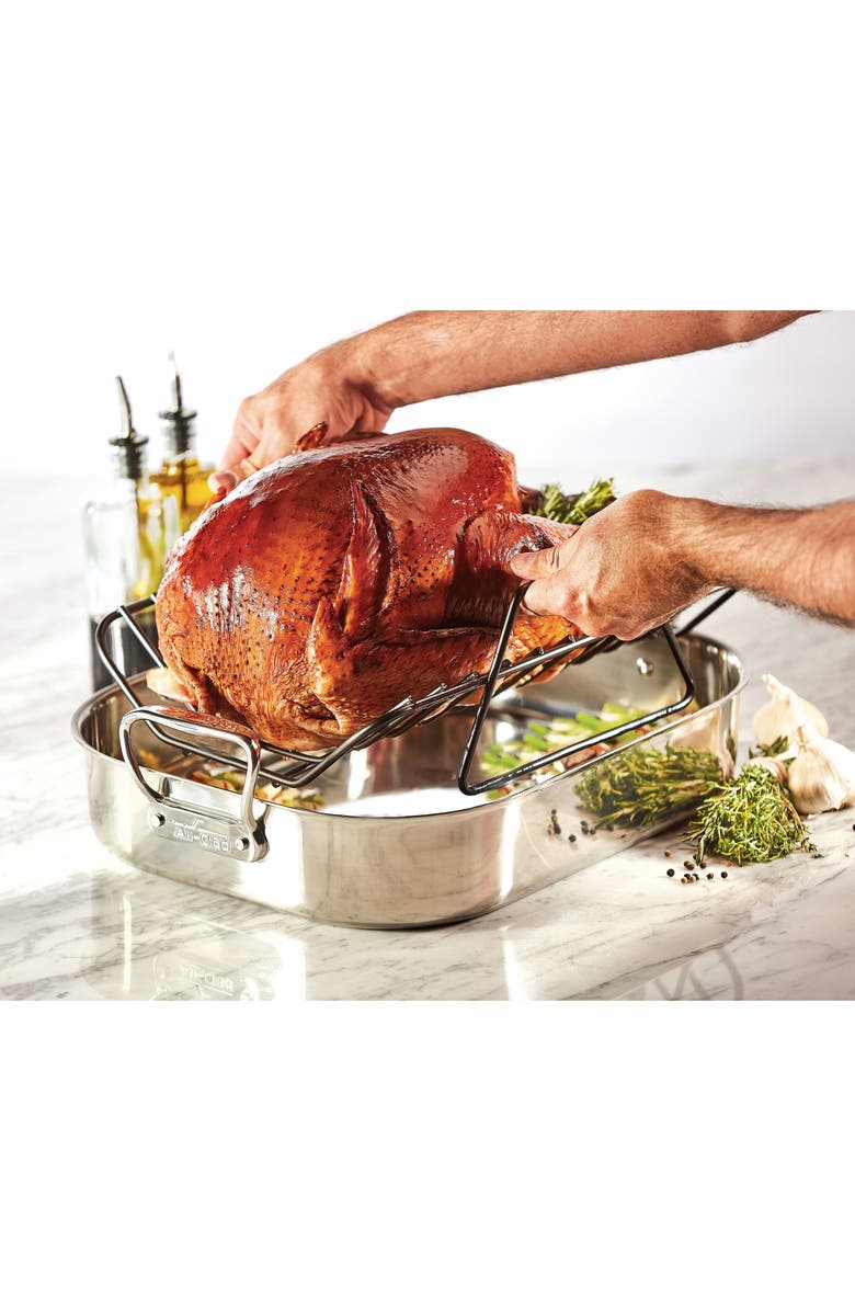All-Clad Large Stainless Steel Roasting Pan & Roaster Rack, Alternate, color, Stainless