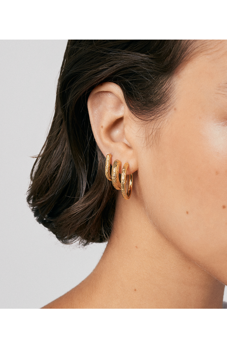 Hey Harper Daphne Amelia Earrings, Alternate, color, Gold