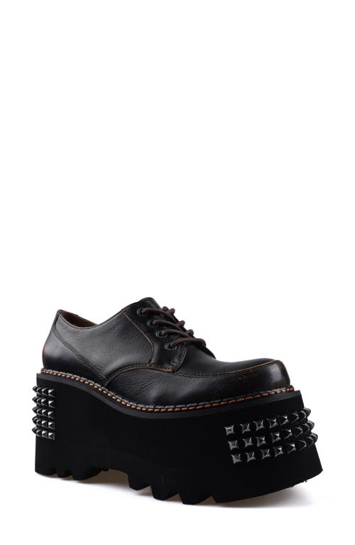 Zigi Celestina Stud Platform Derby In Multi