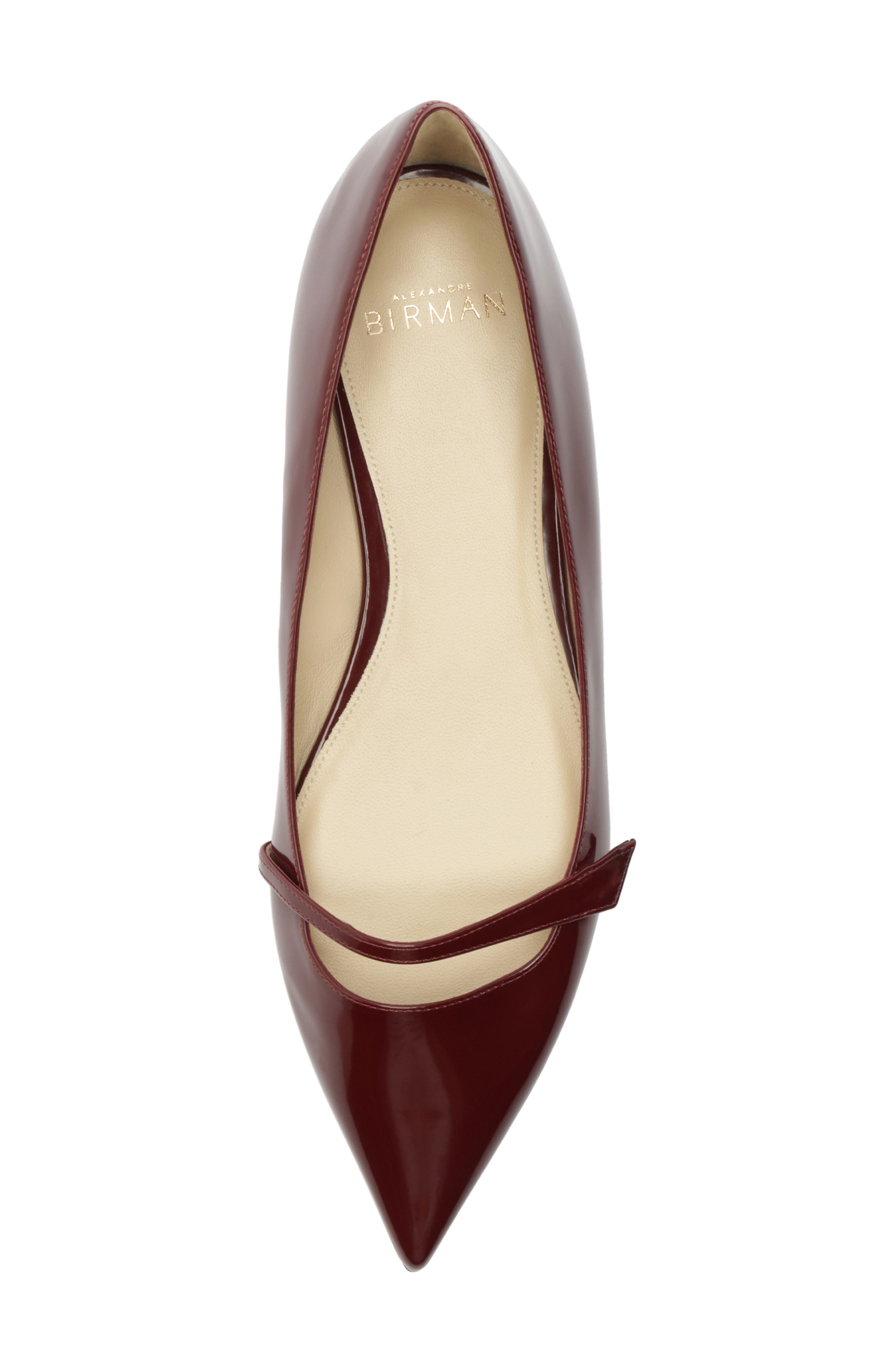 Alexandre Birman Tita Pointed Toe Ballerina Flat, Alternate, color, 