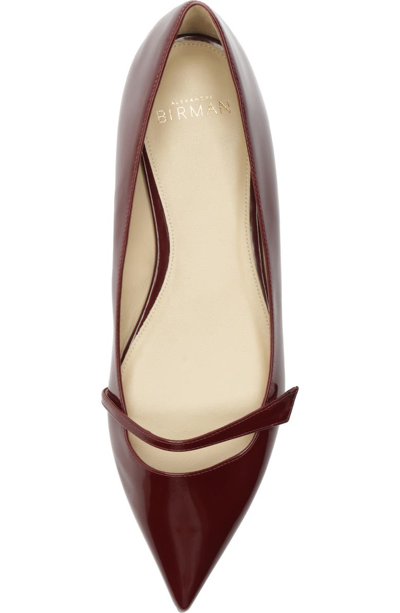 Alexandre Birman Tita Pointed Toe Ballerina Flat, Alternate, color,