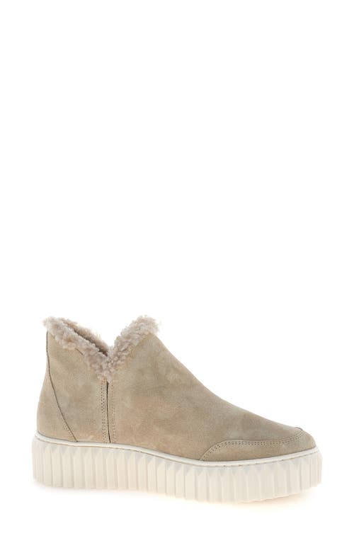 Voile Blanche Luna Genuine Shearling Lined Bootie In Neutral