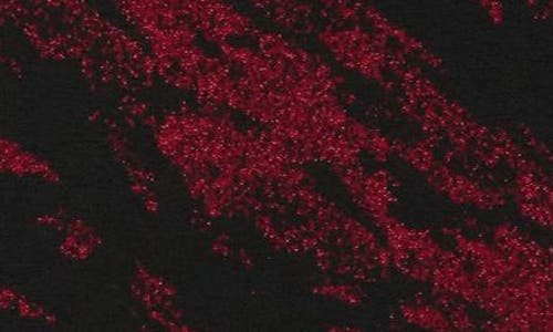 Nina Leonard Marbled Scoop Neck Dress In Red