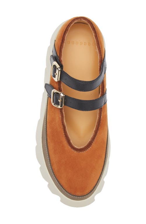 4ccccees Tura Ballet Platform Loafer In Orange