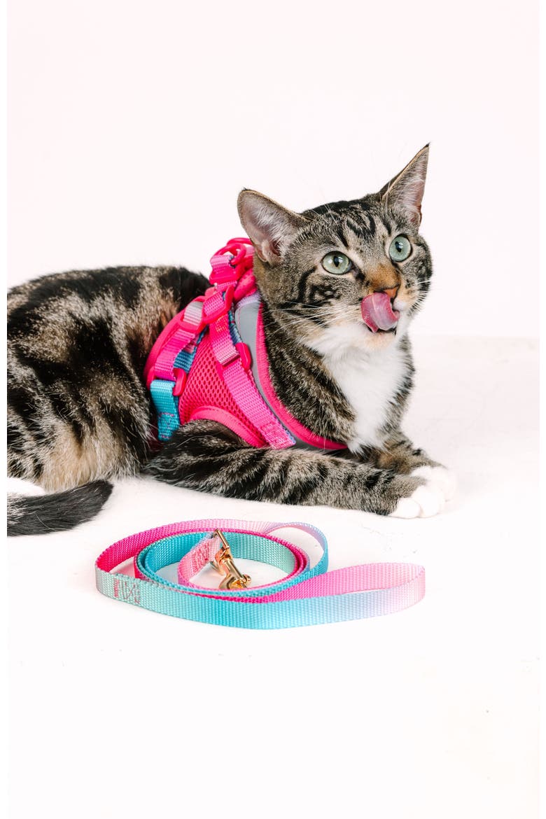 Stasia Cat Harness and Leash Set, Alternate, color, Stasia