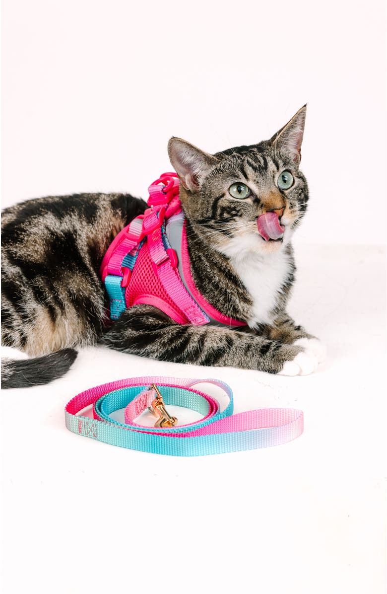 Pink Papyrus Stasia Cat Harness and Leash Set, Alternate, color, Stasia