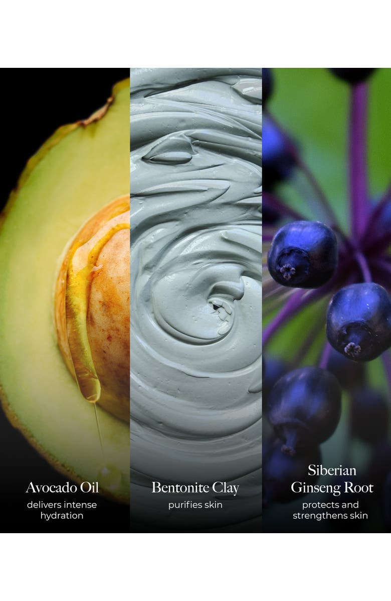 Borghese Equilibrio Equalizing Restorative Moisturizer, Alternate, color, NO COLOR