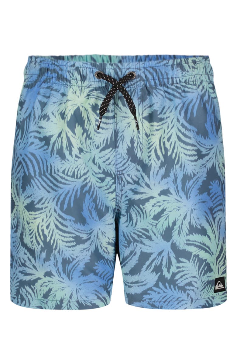Quiksilver Everyday Mix Volley Swim Trunks, Main, color,