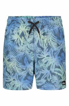Quiksilver Everyday Mix Volley Swim Trunks