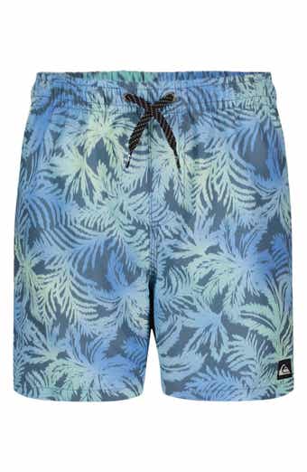 Quiksilver Everyday Mix Volley Swim Trunks