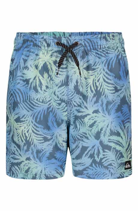 Quiksilver Everyday Mix Volley Swim Trunks