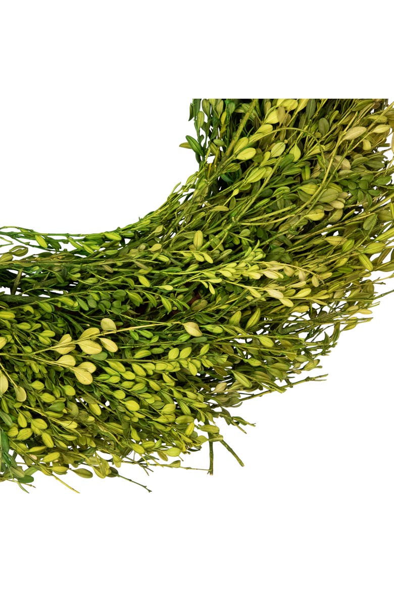 Green Foliage Artificial Spring Wreath - 20' - Unlit, Alternate, color, Green