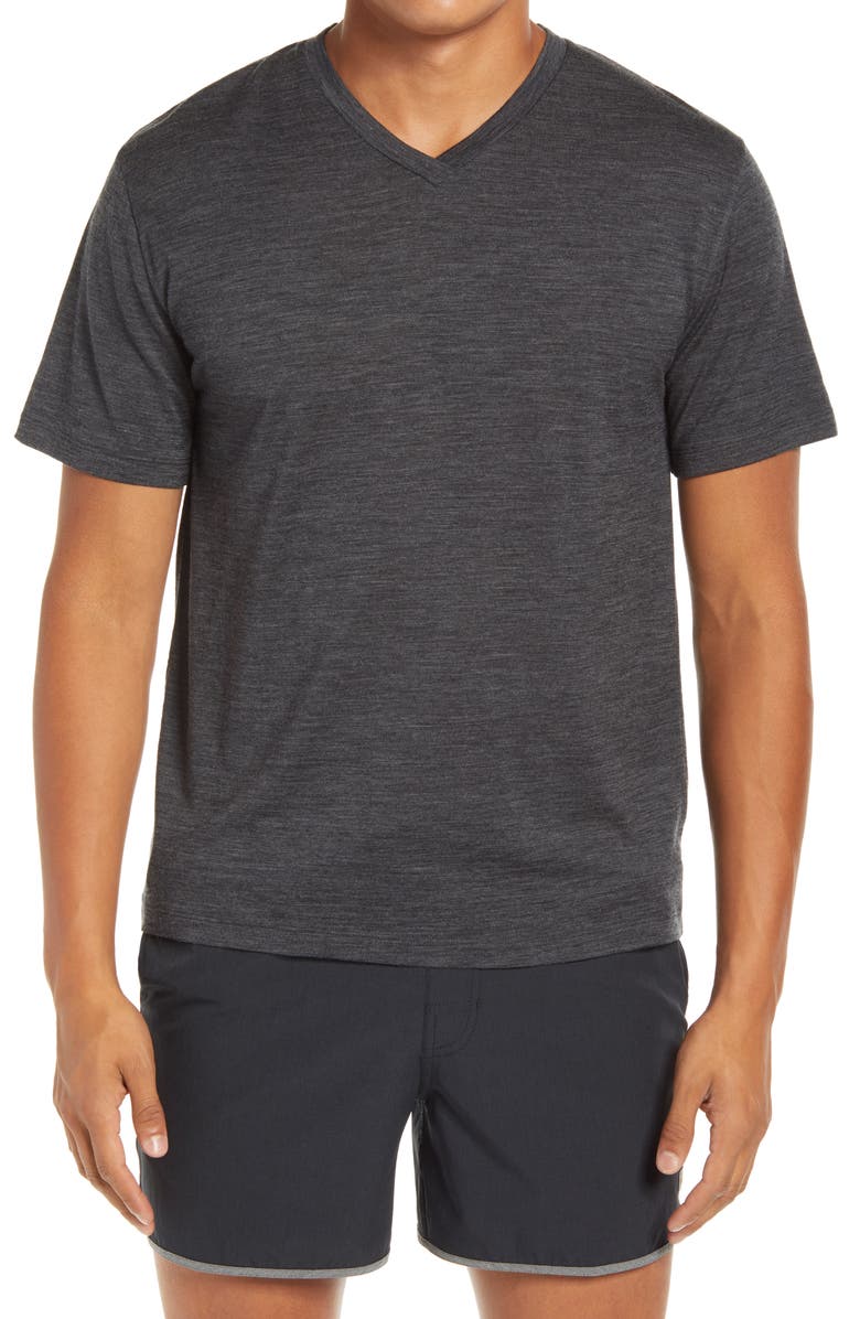Icebreaker Ravyn V-Neck Wool Blend T-Shirt, Main, color, 