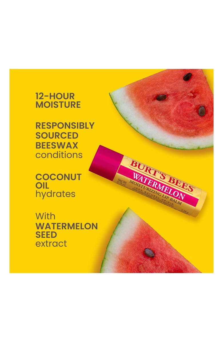 Burt's Bees Beeswax Bounty Moisturizing Lip Balm Gift Set, Alternate, color,