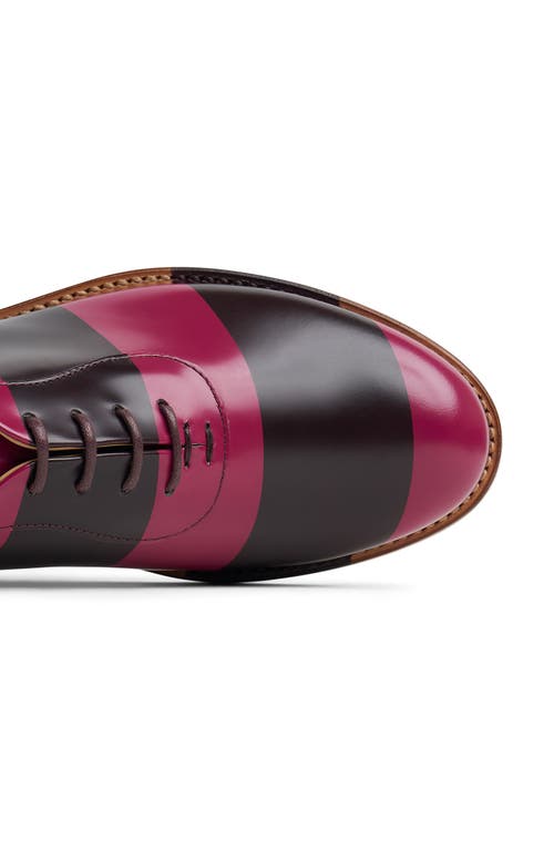 The Office Of Angela Scott Mr. Smith Oxford In Multi