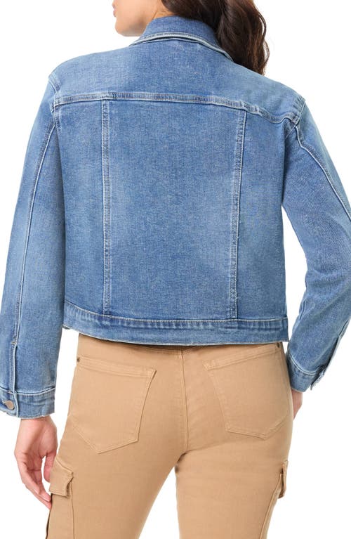Curve Appeal Essential Denim Jacket