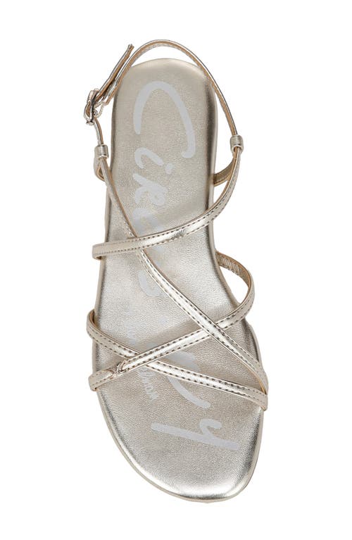 Circus Ny By Sam Edelman Rebecca Strappy Flat Sandals In Jute