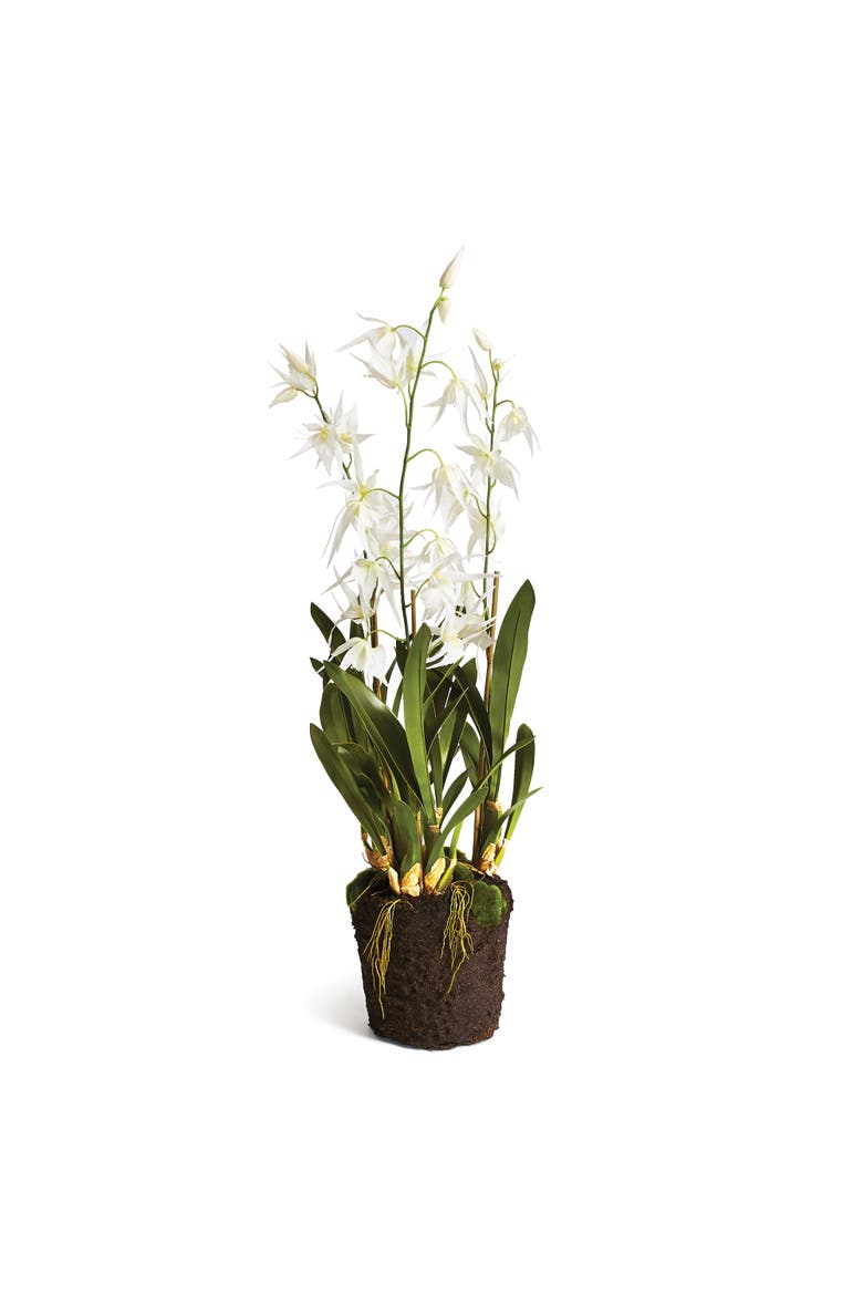 Spider Orchid Drop-In 44", Main, color, White