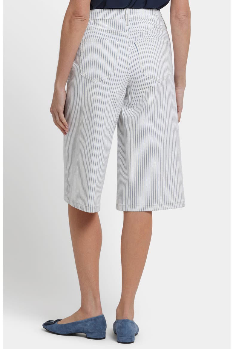 Amelia Culotte Jeans, Alternate, color, PALENCIA STRIPE