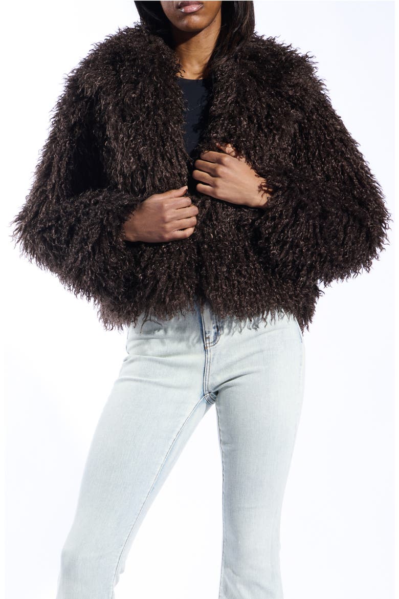 Ruperta Faux Fur Jacket, Main, color, BROWN